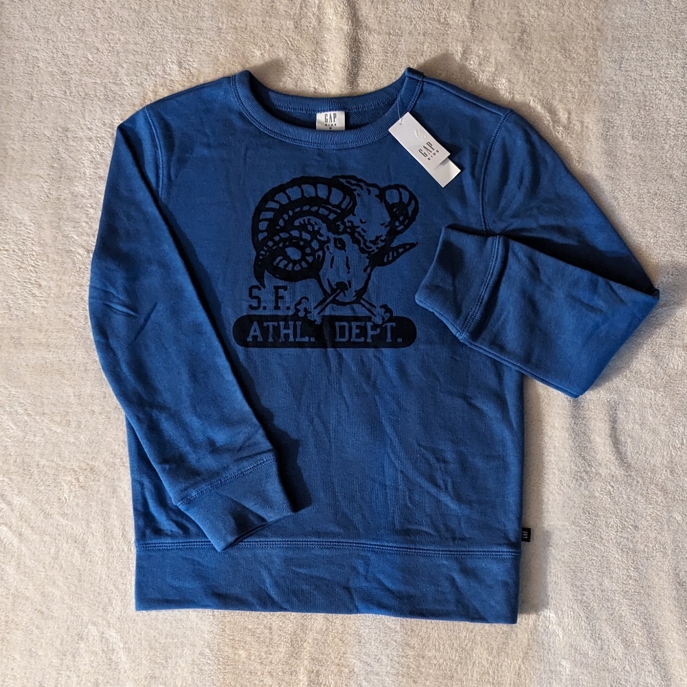 NWT Gap Kids Crewneck Sweatshirt- Blue, Size 8 (M)